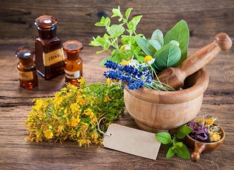 گیاهان دارویی تبریز همراه با توضیحات کامل و آشنایی