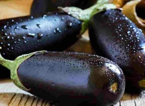 قیمت خرید بادمجان گلخانه ای ورامین + تست کیفیت