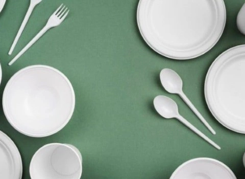 ظروف یکبار مصرف امیرکو؛ درب دار 2 جنس فومی آلومینیومی بازیافتی Amirco