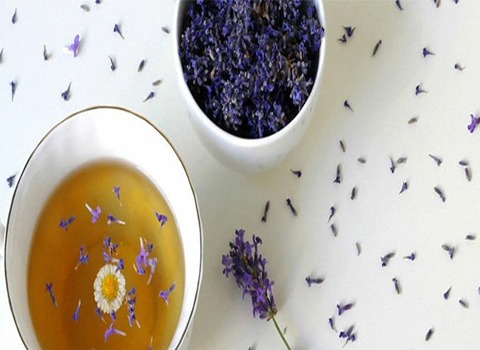 لیست قیمت گیاه دارویی اسطوخودوس به صورت عمده و با صرفه