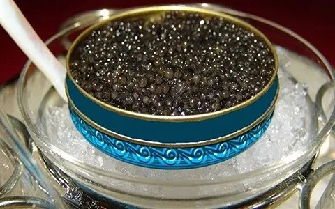 قیمت ماهی خاویار مازندران + خرید و فروش ماهی خاویار مازندران عمده