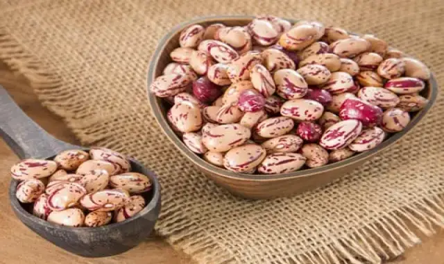 خرید لوبیا چیتی تازه | فروش انواع لوبیا چیتی تازه با قیمت مناسب