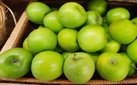 سیب سبز فرانسه؛ حاوی آنتی اکسیدان درمان کبد چرب جگر