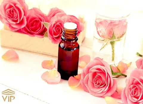 قیمت و خرید گیاه دارویی گل محمدی  + فروش ارزان