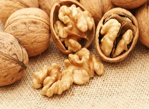 گردو کاغذی اعلا؛ هارتلی شیلی تویسرکان مغز درشت چربی کم