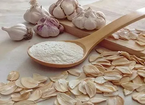 قیمت خرید پودر سیر از تولید به مصرف