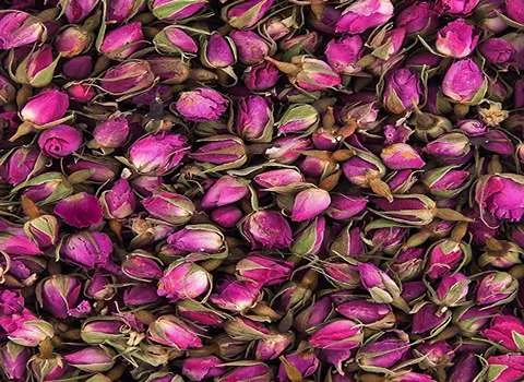 لیست قیمت گل محمدی گلستان به صورت عمده و با صرفه