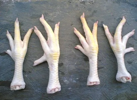 پای مرغ قالبی؛ تقویت قدرت بینایی زیباسازی پوست Protein