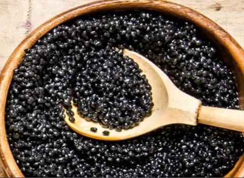 راهنمای خرید خاویار دریای جنوب + قیمت عالی