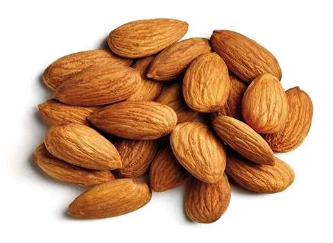 مشخصات مغز بادام مامایی عمده و نحوه خرید عمده