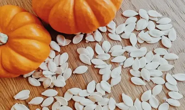 خواص تخمه کدو برای سلامتی و درمان بیماری های مختلف