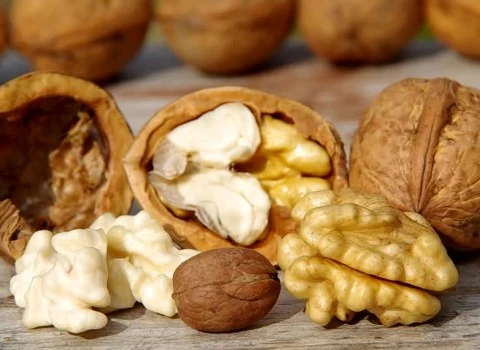 خرید مغز گردو سفید ایرانی با قیمت استثنایی