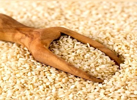 قیمت کنجد سفید پاکستان