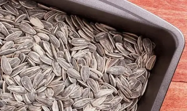 قیمت تخمه آفتابگردان نمکی + پخش تولیدی عمده کارخانه