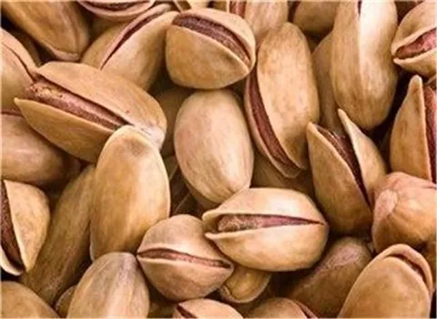 قیمت خرید پسته دامغان + فروش در تجارت و صادرات