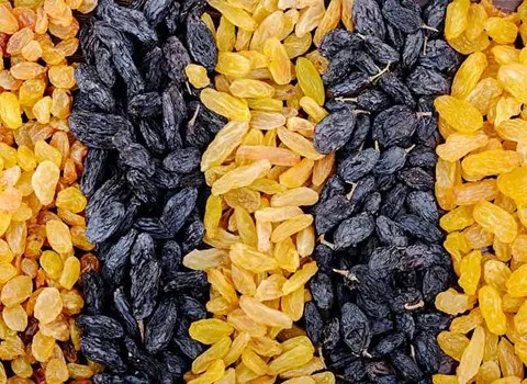 کشمش زرد قلمی؛ خشکبار بدون هسته مناسب بهبود سیستم گوارشی Raisin