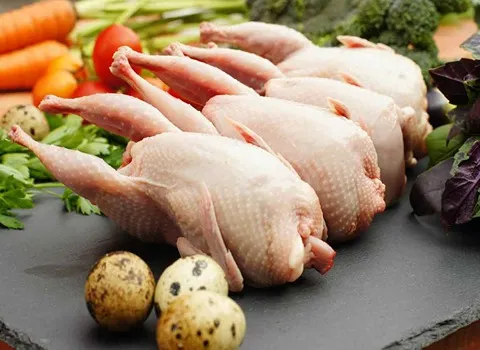 خرید گوشت بلدرچین منجمد + قیمت عالی با کیفیت