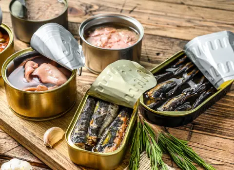 خرید کنسرو تن ماهی اویلا + قیمت عالی