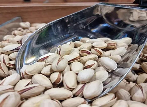 پسته احمد اقایی درجه یک همراه با توضیحات کامل و آشنایی