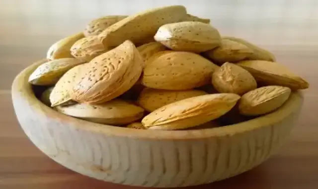 بادام درختی با پوست؛ سلامت کلیه پوکی استخوان انواع (خام بو داده) کاغذی