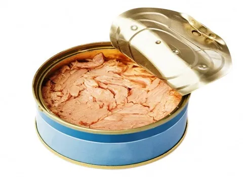 قیمت و خرید کنسرو ماهی جنوب با مشخصات کامل