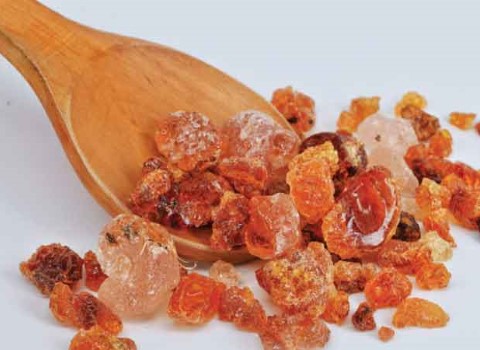 قیمت صمغ بادام کوهی