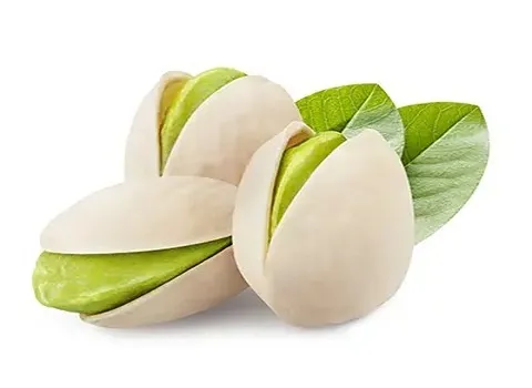 بهترین پسته تازه با پوست + قیمت خرید عالی