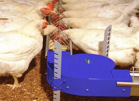 قیمت خرید دانخوری مرغ گوشتی + راهنمای استفاده