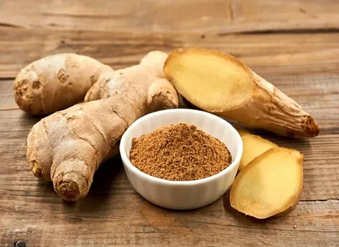 قیمت گیاه زنجبیل کوهی + خرید