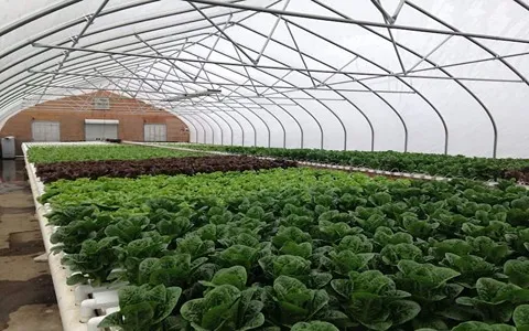 نایلون کشاورزی مهتاب پلاس؛ یک چند لایه جنس پلی اتیلن محافظت در برابر نور