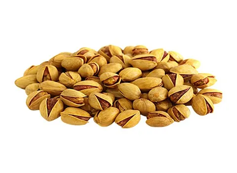 پسته فندقی زعفرانی؛ کله قوچی اکبری 2 نوع زودرس دیر رس Pistachio