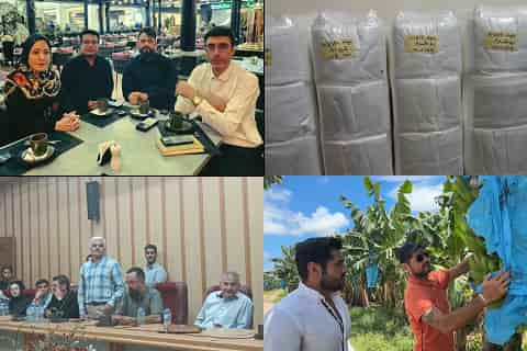 آرادنگاری فیلمی ۱۹ شهریور