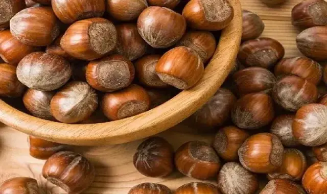 فندق در تهران؛ خام بو داده حفظ سلامت بدن مناسب آجیل