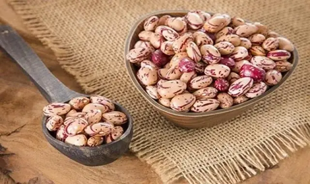 لوبیا چیتی خمین اراک همراه با توضیحات کامل و آشنایی