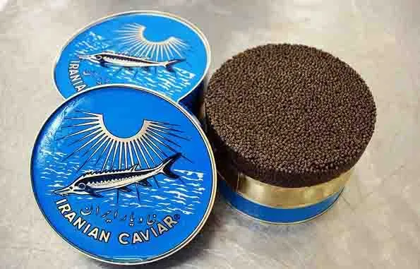 خاویار بسته بندی شده + قیمت خرید، کاربرد، مصارف و خواص