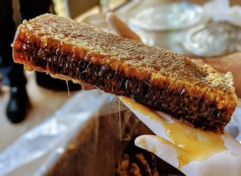 قیمت عسل سیاه موم دار + خرید