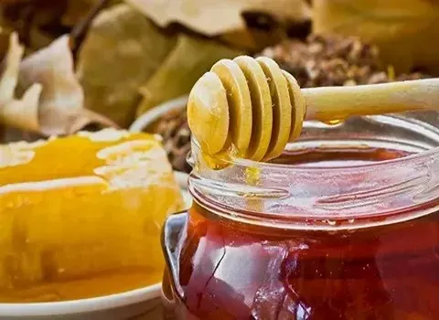 معرفی عسل زرشک کوهی + بهترین قیمت خرید