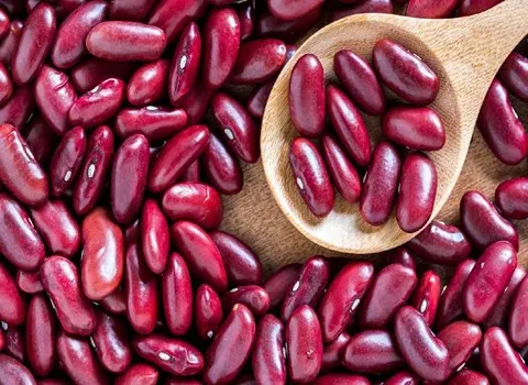 لوبیا قرمز Red beans ویتامین A و B پاکسازی دستگاه گوارش جلوگیری سرطان