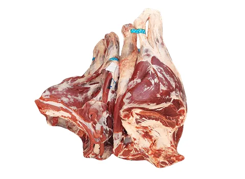 گوشت گاو ران همراه با توضیحات کامل و آشنایی