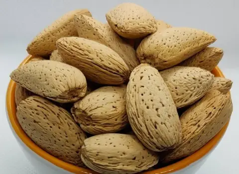قیمت بادام سنگی درجه یک