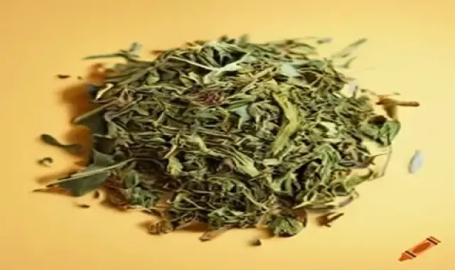 سبزی خشک در آش رشته؛ طعم بوی خاصی تازه بدون پوسیدگی Dried