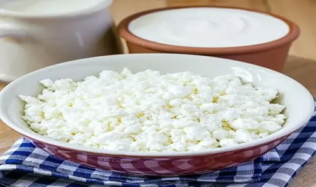 قیمت خرید استارتر دوغ کفیر + مشخصات، عمده ارزان