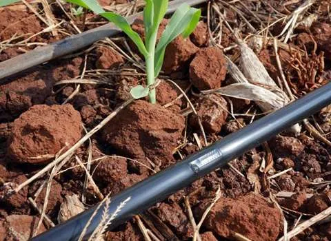 مشخصات لوله آبیاری نواری قطره ای و نحوه خرید عمده