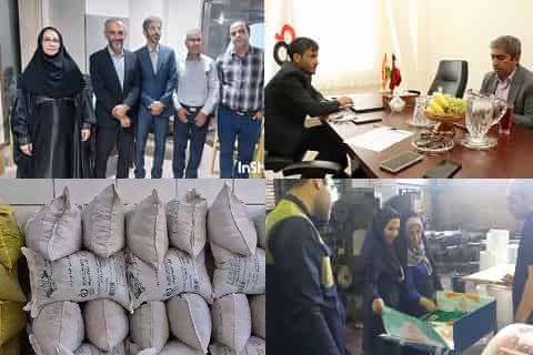 آرادنگاری فیلمی ۵ مهر