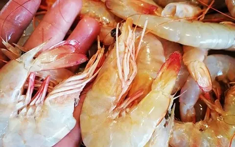 قیمت میگو تازه در مشهد