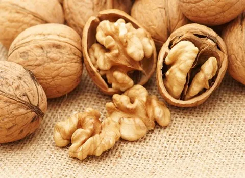 مغز گردو مشهد؛ پوست کاغذی سوزنی حاوی پروتئین فیبر Antioxidants