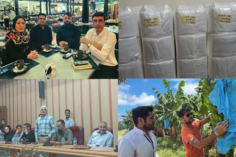 پخش زنده و آراد نگاری فیلمی ۱۹ شهریور