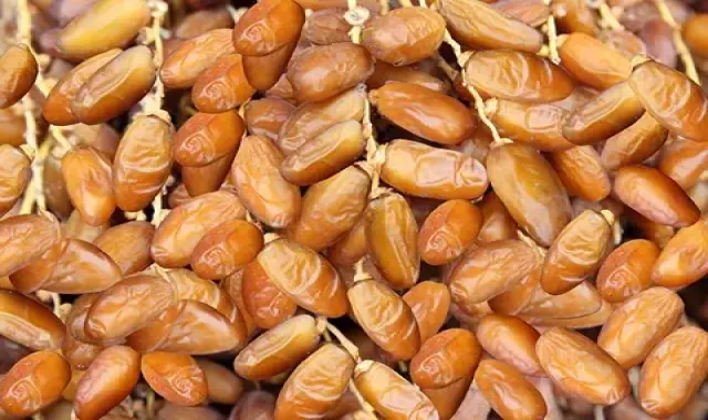 خرمای پیارم ساغر؛ انرژی زا طبع گرم بهبود دیابت حاوی ویتامین B