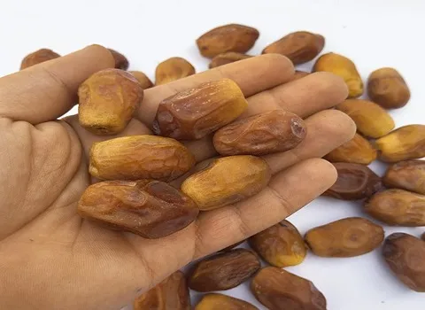 راهنمای خرید خرما قصب خشک + قیمت عالی