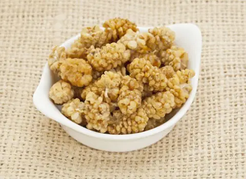 خرید توت خشک + قیمت عالی با کیفیت تضمینی